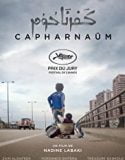 Capharnaum (2018) Online Subtitrat in Romana
